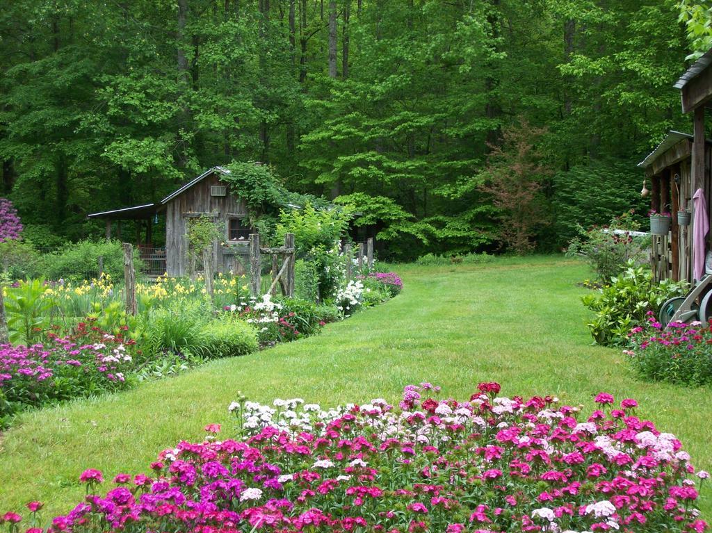 Garden Of Eden Cabins Cosby Eksteriør bilde